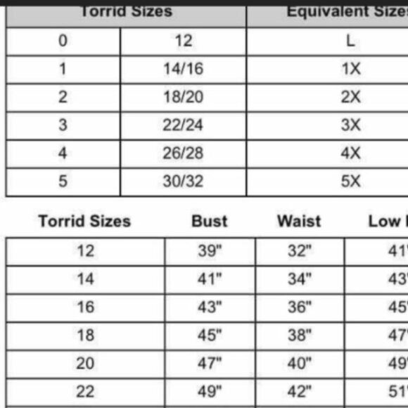 Torrid Tank Top Size 4X Gray V-Neck Flowy Stretch Black Mesh Lining Lined - Picture 15 of 15